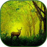 Deer LiveWallpaper icon
