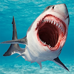 Cover Image of Download Shark 3D  APK