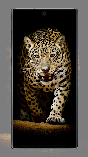 Walpaper for iPhone 14 Screenshot 4 - AppWisp.com
