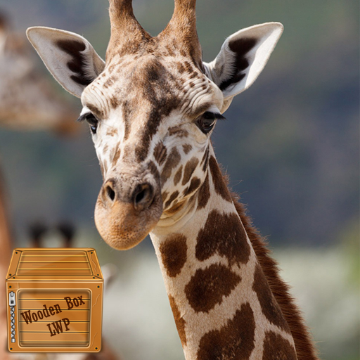 giraffe wallpaper logo