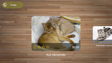 Darmowe Gry Puzzle Koty Aplikacje W Google Play