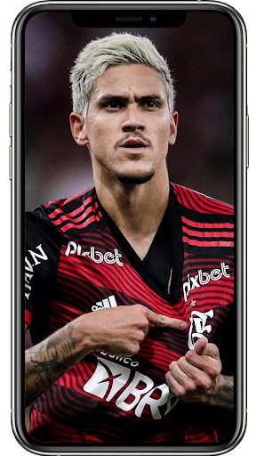 Pedro Flamengo Wallpapers
