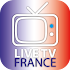 TV France Direct1.0