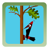 Woodpecker Backyard Woodcutter icon