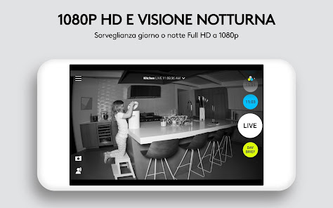 Immagine screenshot