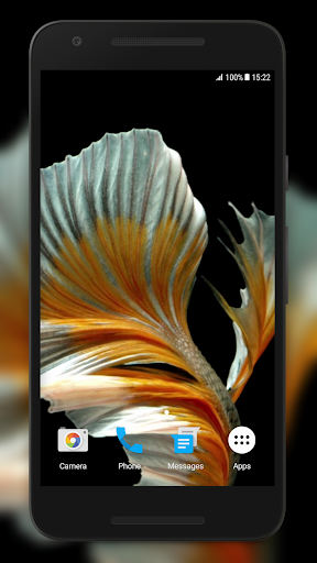 I Fish Video Live Wallpaper Screen 2