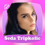 Cover Image of Download Şarkıları Seda Tripkolic - Sonu Gelmez 1.0 APK