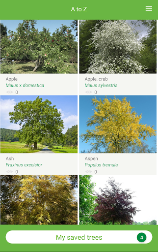 Tree ID - British trees Screenshot 3 - AppWisp.com