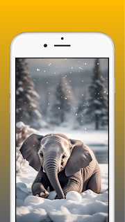 Elephant Wallpaper 4K screenshot 2