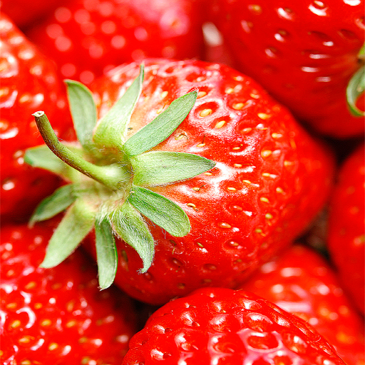 Strawberry Wallpapers logo