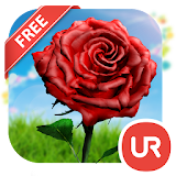 UR 3D Tulip Rose Live Theme icon