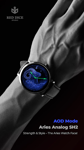 Reddice Aries Analog SH2 screenshot 9