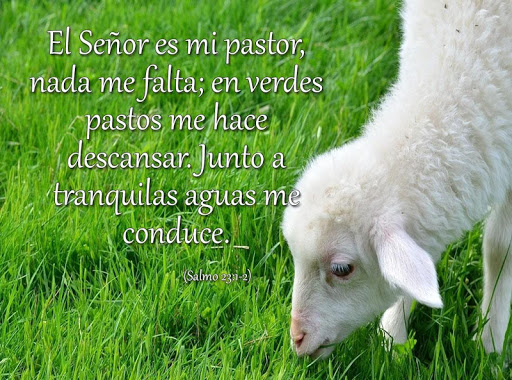 Textos de la Biblia Screen 3