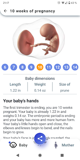 My Pregnancy Tracker Week by Week + Due Date 2.0.36 Screenshots 2