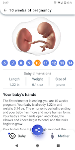 My Pregnancy - Week by Week