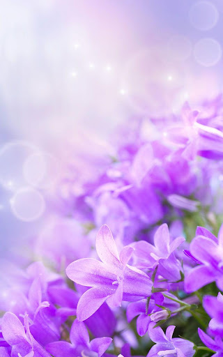 Android application Gentle Flowers Live Wallpaper screenshort