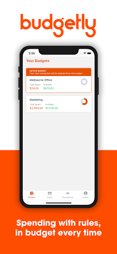 Budgetly Screen 2
