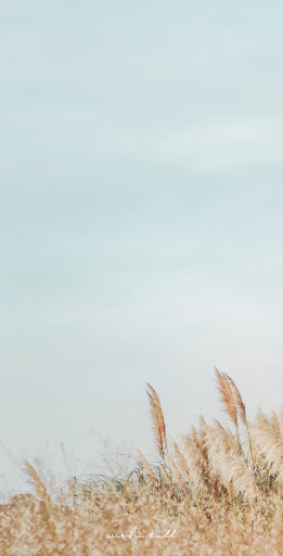 Android application [WISH] 갈대 카톡 테마 screenshort
