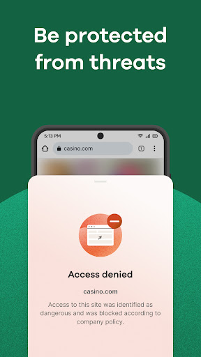 Island Enterprise Browser Screen 2