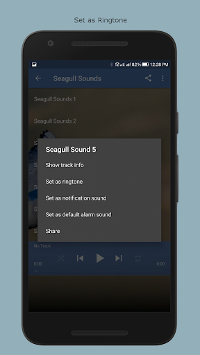 Seagull Sounds Screen 3