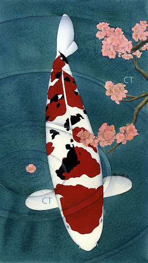 Koi Wallpapers Screen 3