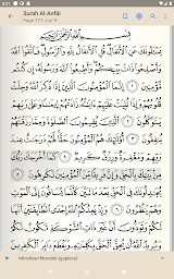 Holy Quran : القرآن الكريم
