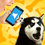 Dog translator audio joke icon