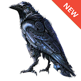 Crow wallpaper icon