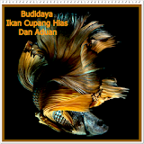 Budidaya Cupang Hias & Aduan icon