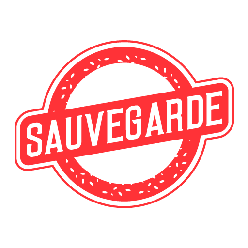 Sauvegarde logo