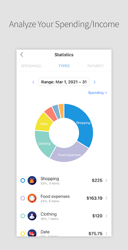 DAILY POCKET - Budget Manager 6