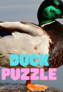 The Duck Picture Puzzle