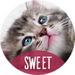 Cover Image of Download Cute animals Wallpapers 1.3.2 APK