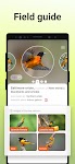 screenshot of Picture Bird - Bird Identifier