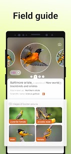 Picture Bird MOD APK -Bird Identifier (Premium Unlocked) Download 4