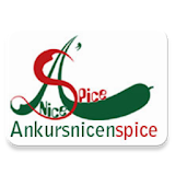 Ankurs Nice n Spice icon