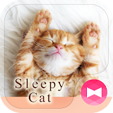 Lovely Wallpaper Sleepy Cat Theme icon