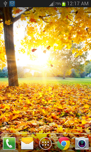Maple Leaf Live Wallpaper Screen 3