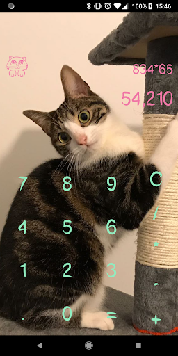 Cat Calculator Pro Screen 3