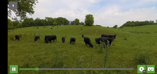 The Niman Ranch Experience Screen 3