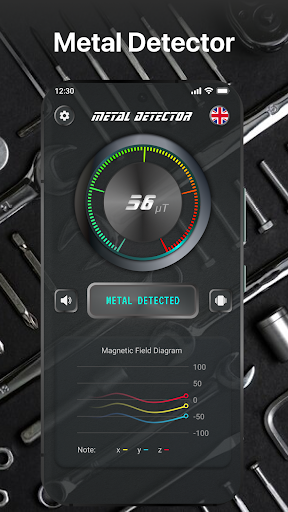 Metal Detector & Magnetometer Screen 3