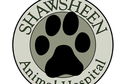 shawsheen animal hospital portal