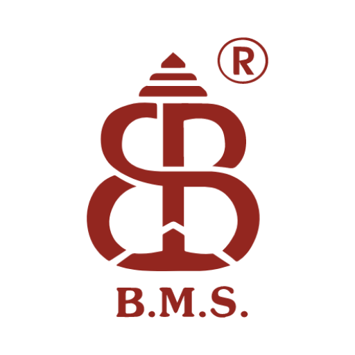 B N Marlecha Silver Logo