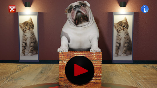 Cihuy The Bulldog 1.0 APK + Mod (Free purchase) for Android