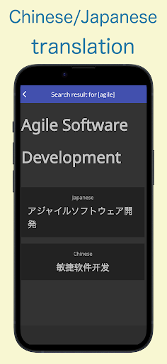 IT Translation Dictionary Screen 3