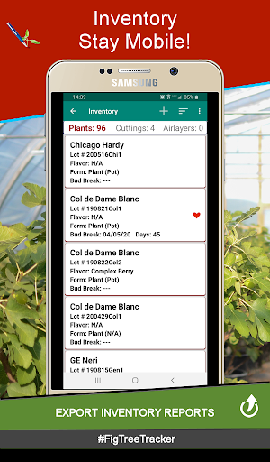 Fig Tree Tracker Screen 2