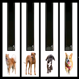 Dogs barking piano icon