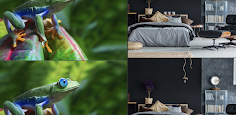 Spot The Differences Master - Screenshot 3