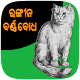 Odia Colour Barnabodha - Colour Edition Download on Windows