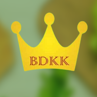 BD King Kebab 24H apk